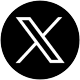 x-icon